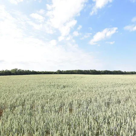 Spacious Pet-friendly Holiday In Marlow